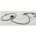 Sensor, Raddrehzahl 818025206