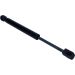 Gasfeder, Koffer-/Laderaum 12-0302