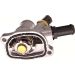 Thermostat, Kühlmittel 725138