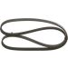 Keilrippenriemen HONDA,TOYOTA,MITSUBISHI,RENAULT 1987947878 Keilrippenriemen HONDA,TOYOTA,MITSUBISHI,RENAULT 1987947878