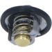 Thermostat, Kühlmittel 725146 Thermostat, Kühlmittel 725146