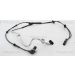 Sensor, Raddrehzahl 818029251