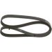 Keilrippenriemen MITSUBISHI,TOYOTA,ALFA 1987948406 Keilrippenriemen MITSUBISHI,TOYOTA,ALFA 1987948406