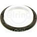 Dichtring RENAULT 169.650