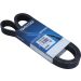 Keilrippenriemen 7PK1705DT