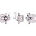 Tauschbremssattel 4207120