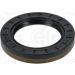 Dichtring 095.311 Dichtring 095.311