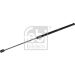 GASFEDER, KOFFER-/LADERAUM FE180708