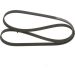 Keilrippenriemen VW,OPEL,BMW,SEAT 1987947547 Keilrippenriemen VW,OPEL,BMW,SEAT 1987947547