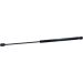 Gasfeder, Hinten L 507 330N RENAULT Twingo 14 LIFT-O-MAT® 907985 Gasfeder, Hinten L 507 330N RENAULT Twingo 14 LIFT-O-MAT® 907985
