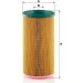 MANN-FILTER Luftfilter C19450