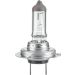 HELLA Glühlampe, Hauptscheinwerfer 8GH 217 337-101 HELLA Glühlampe, Hauptscheinwerfer 8GH 217 337-101