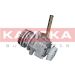 KAMOKA Hydraulikpumpe, Lenkung PP198 KAMOKA Hydraulikpumpe, Lenkung PP198