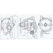 MAGNETI MARELLI Ölpumpe 351516000123 MAGNETI MARELLI Ölpumpe 351516000123