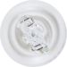 W16W 12V 16W PURE LIGHT BOSCH KFZ-GLUEHLAMPE, 2-Blister Pure Light BL 1987301049