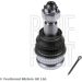 Gelenk - Radaufhängung Subaru P. Tribeca 3.0/3.6 06- Le/Pr Lower ADS78610 Gelenk - Radaufhängung Subaru P. Tribeca 3.0/3.6 06- Le/Pr Lower ADS78610