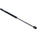 Gasfeder, Koffer-/Laderaum 12-0113
