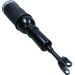Luftfederbein 11-0769