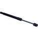 Gasfeder, Koffer-/Laderaum 150450