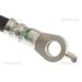 Bremsschlauch 815013350