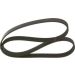 Keilrippenriemen SEAT,TOYOTA,RENAULT,VW 1987946063 Keilrippenriemen SEAT,TOYOTA,RENAULT,VW 1987946063
