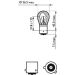 Glühlampe Py21W 12V/21W (Orange) Bau15S Longlife Ecovision Bis zu 4-fache Lebensdauer LongLife EcoVision 12496LLECOCP