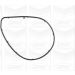 PA 1001 Wasserpumpe TOYOTA Auris,Avensis,Verso 05 PA1001