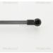 Gasfeder, Koffer-/Laderaum 871027226