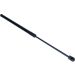 Gasfeder, Koffer-/Laderaum 12-0088