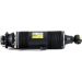 Arnott Luftfederbein HA re SK-2419