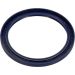 Wellendichtring Kurbelwelle 81-53329-00 Wellendichtring Kurbelwelle 81-53329-00