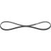 Keilrippenriemen FORD Elastic 1987946118 Keilrippenriemen FORD Elastic 1987946118