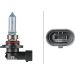 HELLA Glühlampe, Nebelscheinwerfer 8GH 223 498-161 HELLA Glühlampe, Nebelscheinwerfer 8GH 223 498-161