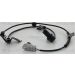 Sensor, Raddrehzahl 818043110