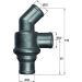 Gehäusethermostat BMW 315-520 4 ZYL. 75-88 BEHR TH 16 80