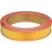 FILTRON Luftfilter AR 243 FILTRON Luftfilter AR 243