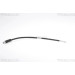 Bremsschlauch | 815016136 Bremsschlauch | 815016136