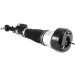 Arnott Luftfederbein VA re | MERCEDES CL,S 06 | AS-2547