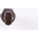 0 281 006 087 Sensor, Kraftstoffdruck