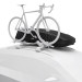 Thule Box Force XT Sport - 635600 | L-190 B-63 H-39, 300 Liter, 75kg