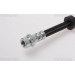 Bremsschlauch | 815016306 Bremsschlauch | 815016306