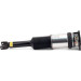 Arnott Luftfederbein HA re | AUDI A8 Normal Fahrwerk 02-10 | AS-2958