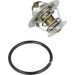 Thermostat, Kühlmittel | 725036 Thermostat, Kühlmittel | 725036