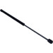 Gasfeder, Koffer-/Laderaum | 220577 Gasfeder, Koffer-/Laderaum | 220577