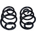 Fahrwerksfeder | 60-0007D Fahrwerksfeder | 60-0007D