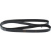Keilrippenriemen | HYUNDAI,MITSUBISHI,KIA,CITROEN | 1987947864 Keilrippenriemen | HYUNDAI,MITSUBISHI,KIA,CITROEN | 1987947864