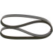 Keilrippenriemen | DACIA,RENAULT,NISSAN,OPEL | 1987947577 Keilrippenriemen | DACIA,RENAULT,NISSAN,OPEL | 1987947577