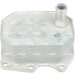 Ölkühler, Motor“L | 31212 Ölkühler, Motor“L | 31212