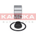 KAMOKA Radlagersatz 5600029
