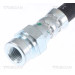 Bremsschlauch | 815080318 Bremsschlauch | 815080318